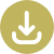 Download button